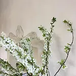 Frühstückspension Costanza Blevio