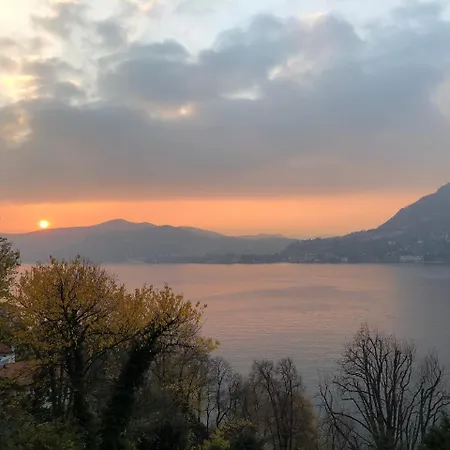 Costanza Couette-café