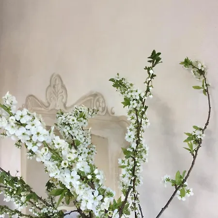 Bed & Breakfast Costanza Blevio