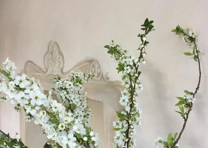 Bed & Breakfast Costanza Blevio